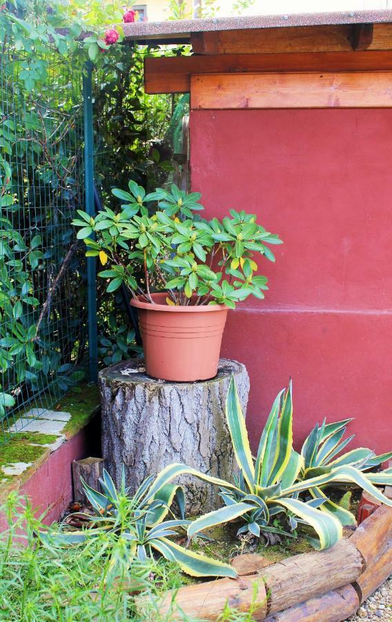 Mina House Apartment Campi Bisenzio Exterior photo